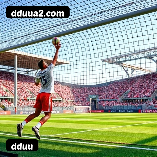 Comparação APP mobile vs versão web da dduu